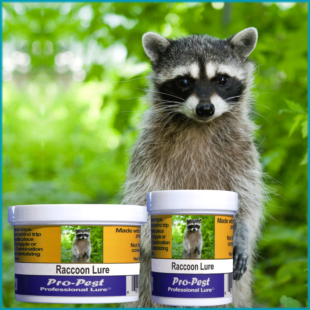 Pro-Pest Raccoon Lure (4 oz)