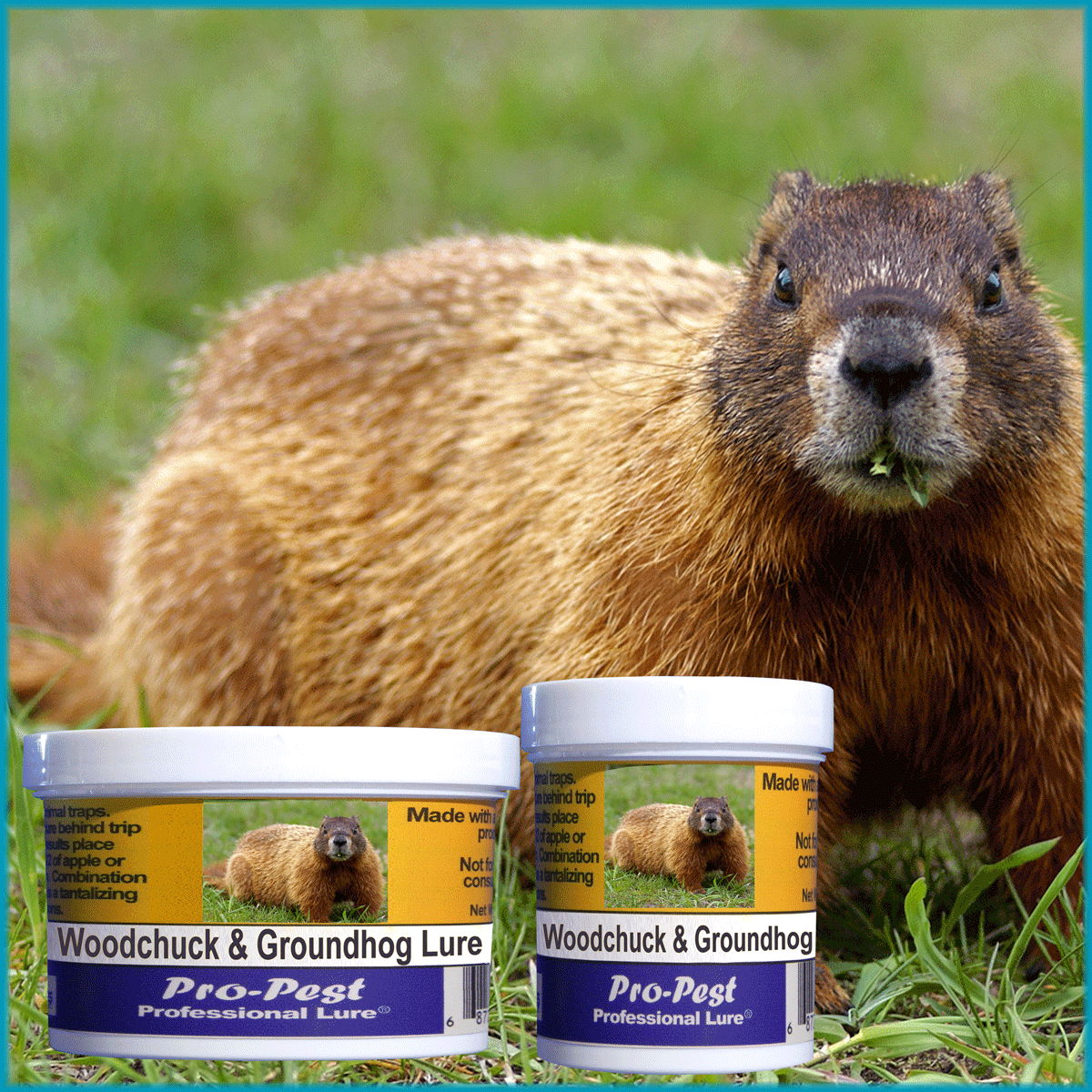 Pro-Pest Woodchuck/Groundhog Lure – Prof 4 oz Jars – 10ct