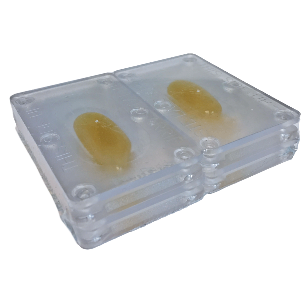 Pro-Pest R.T.U. Roach & Crawling Insect Traps | J.F. Oakes