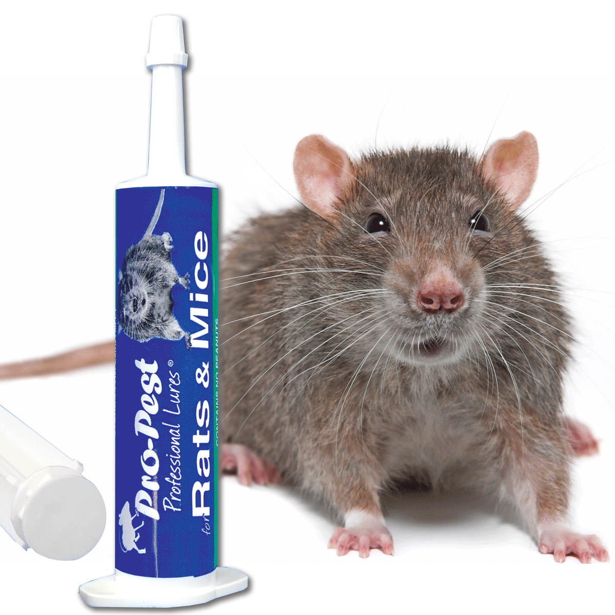Pro-Pest Rat & Mouse Lure - Original Flavor -32cc Syringes
