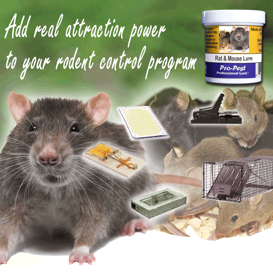 Pro-Pest Rat & Mouse Lure -Jars