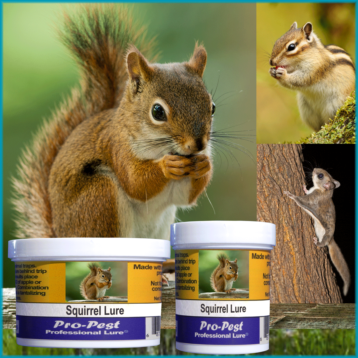 Pro-Pest Squirrel Lure – Prof 8 oz Jars -8ct