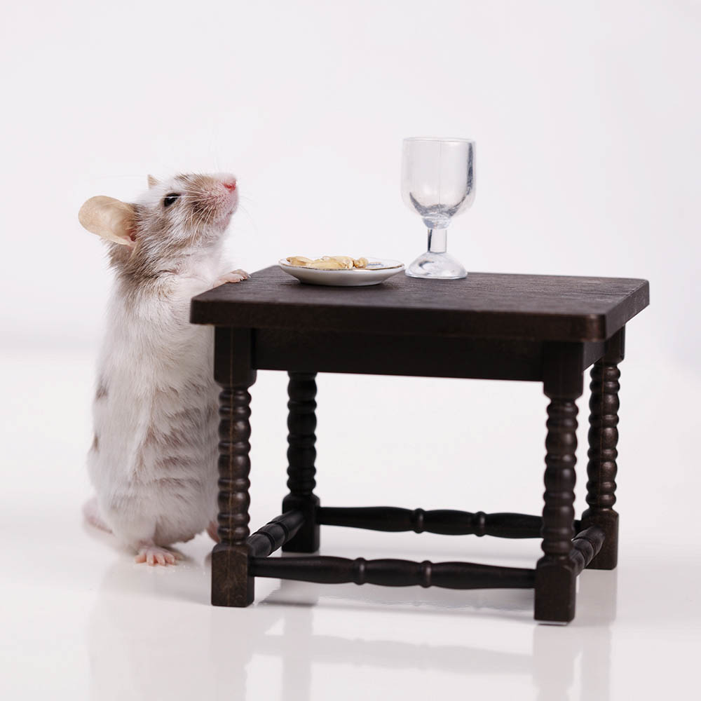 A little mouse dines at the table.