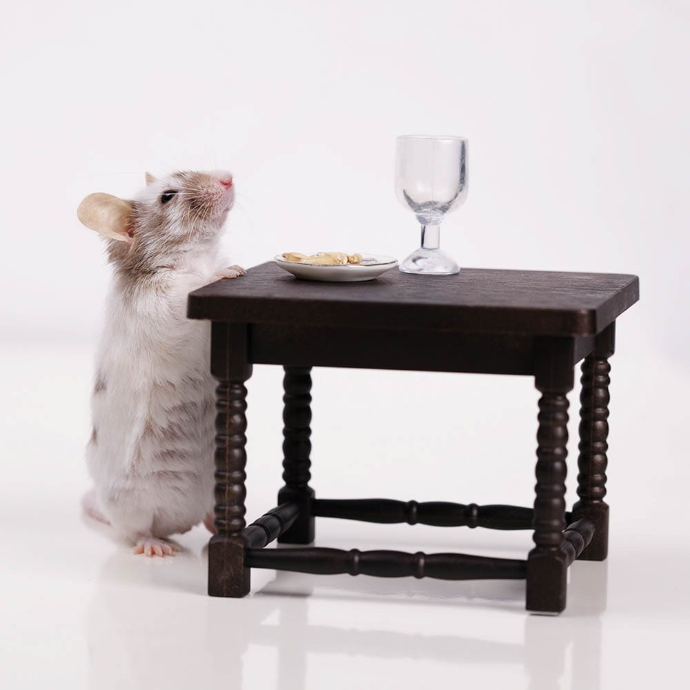 A little mouse dines at the table. A little mouse dines at the table.