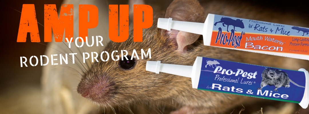 AMP UP your rodent program with pure attraction with Pro-Pest Professional Rodent Lures – no poisions, simply pure attraction