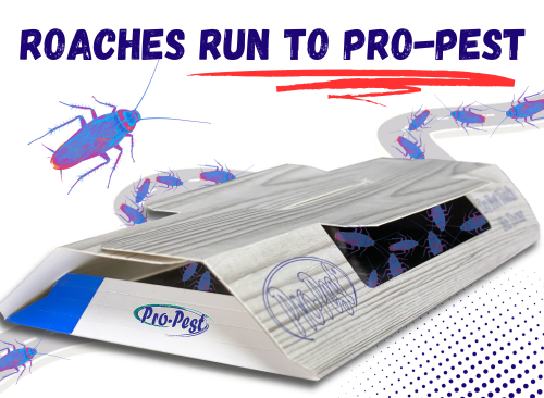 Roaches Run to Pro-Pest Pre-Baited Roach & Insect Traps