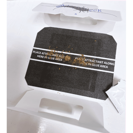 ProPest SilverfishTraps J.F. Oakes